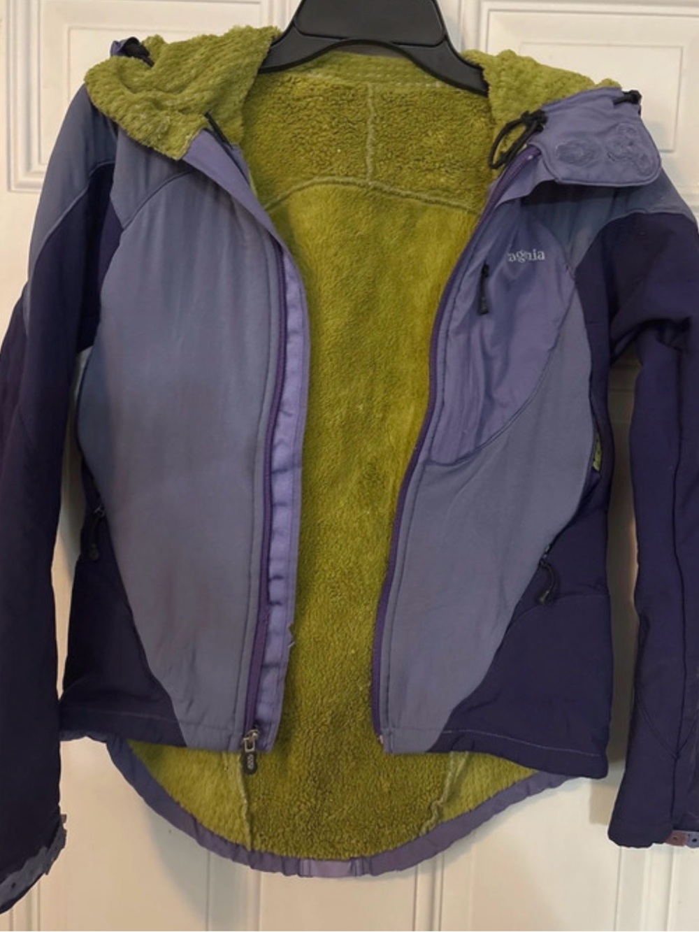 Patagonia Women’s Purple Ski Jacket with Green Fleece Lining